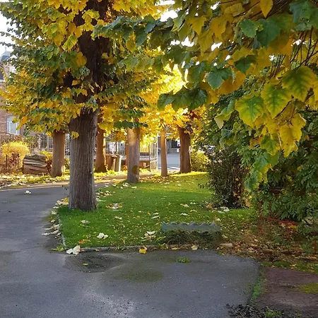 Le Petit Chateau Avesnois - Avec Terrasse Vue Sur Le Jardin Lejlighed Avesnes-sur-Helpe