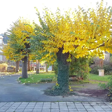 Le Petit Château Avesnois - Avec Terrasse Vue Sur Le Jardin Appartement *